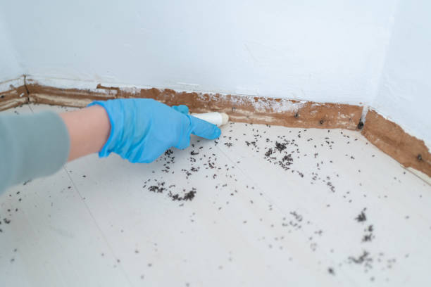 Best Pest Prevention Services  in Glenn Dale, MD